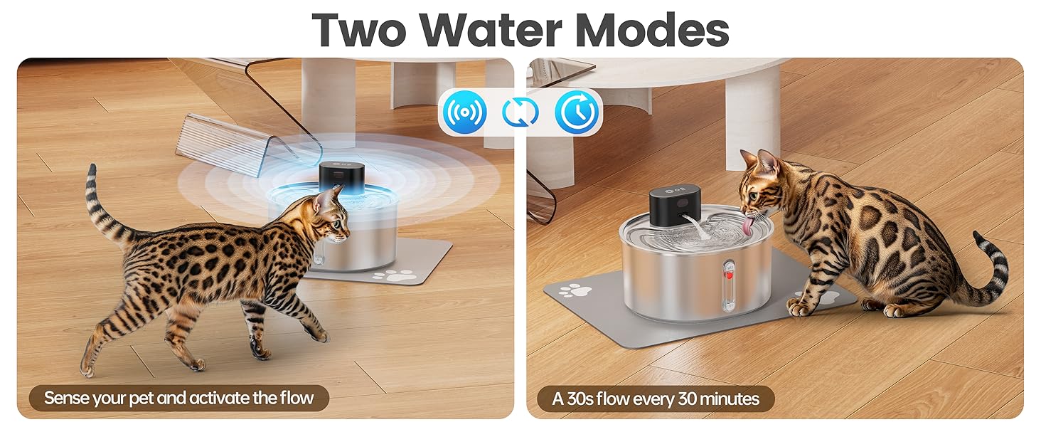 cat water fountain pumpless