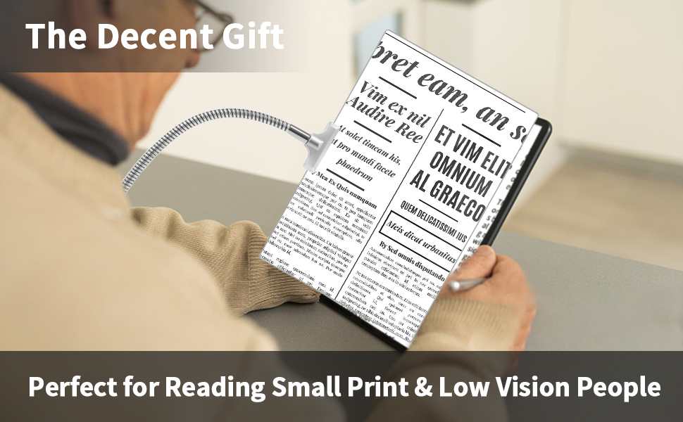 5X Magnifying Glass with Stand, 10"x6" Flexible Gooseneck