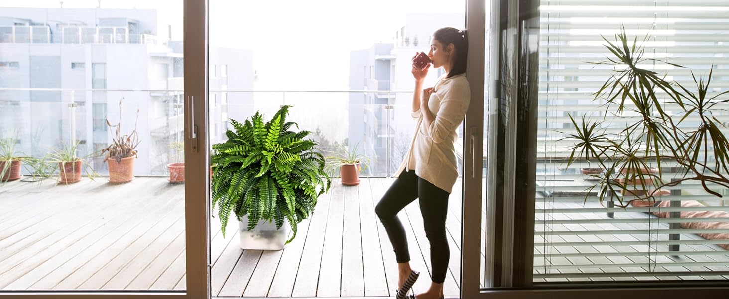 boston ferns artificial plants