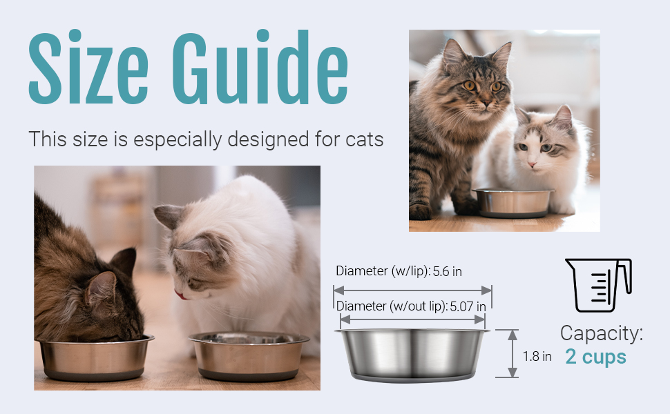 PEGGY11 Stainless Steel Bowl for cats