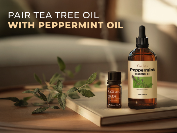 tea tree oil for scalp tea tree oil for hair growth tea tree oil hair tea tree hair oil