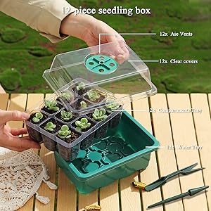 Plant Tray