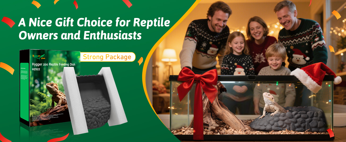 bearded dragon accessories