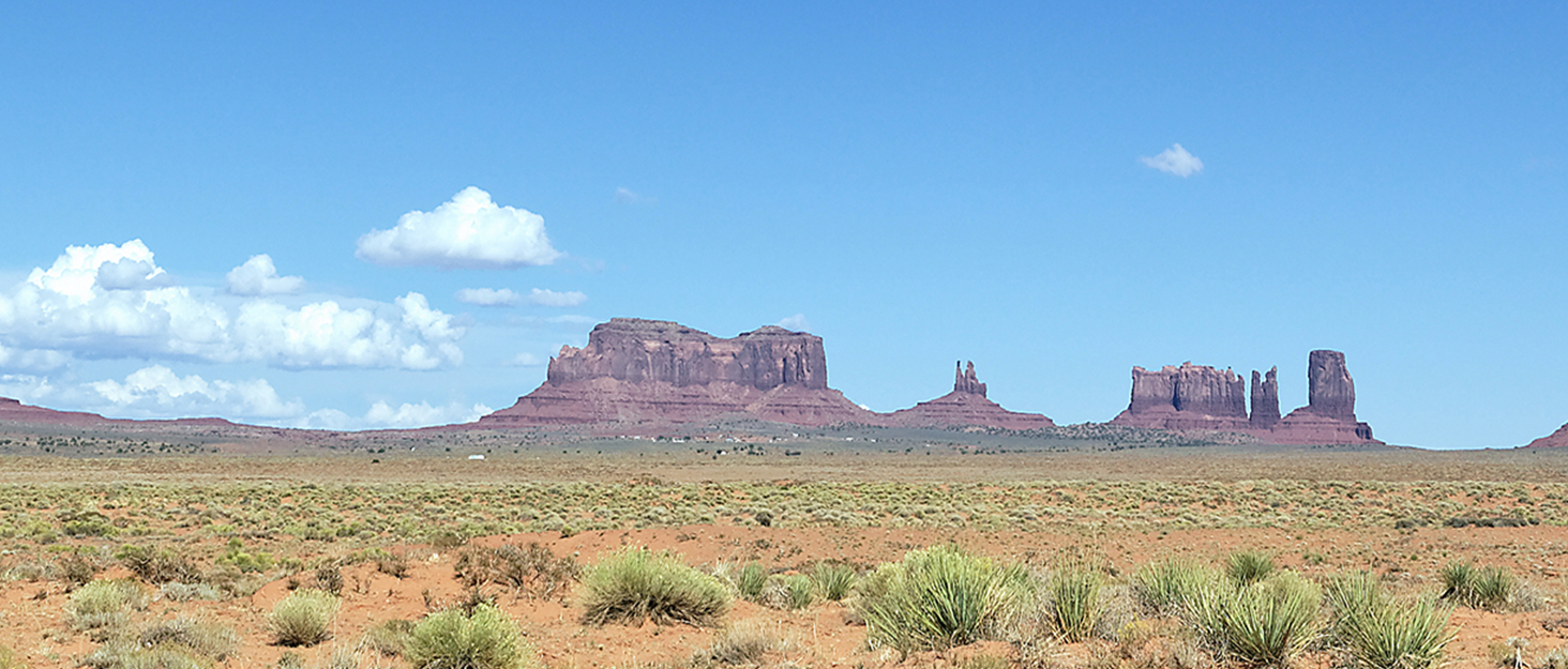 rodeo Genuine Cowhide Rug HandPicked & Authentic Real