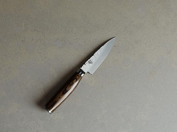 Amazon.com: Shun Premier 4