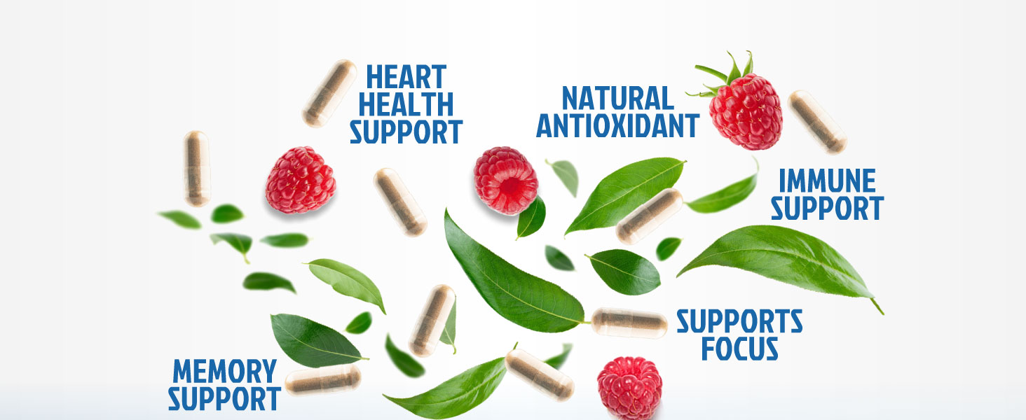 decaffeinated dietary powder liquid energy women drops weigh fast oil theanine 100 capsulas greeb