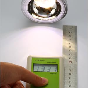 uvb light for reptiles