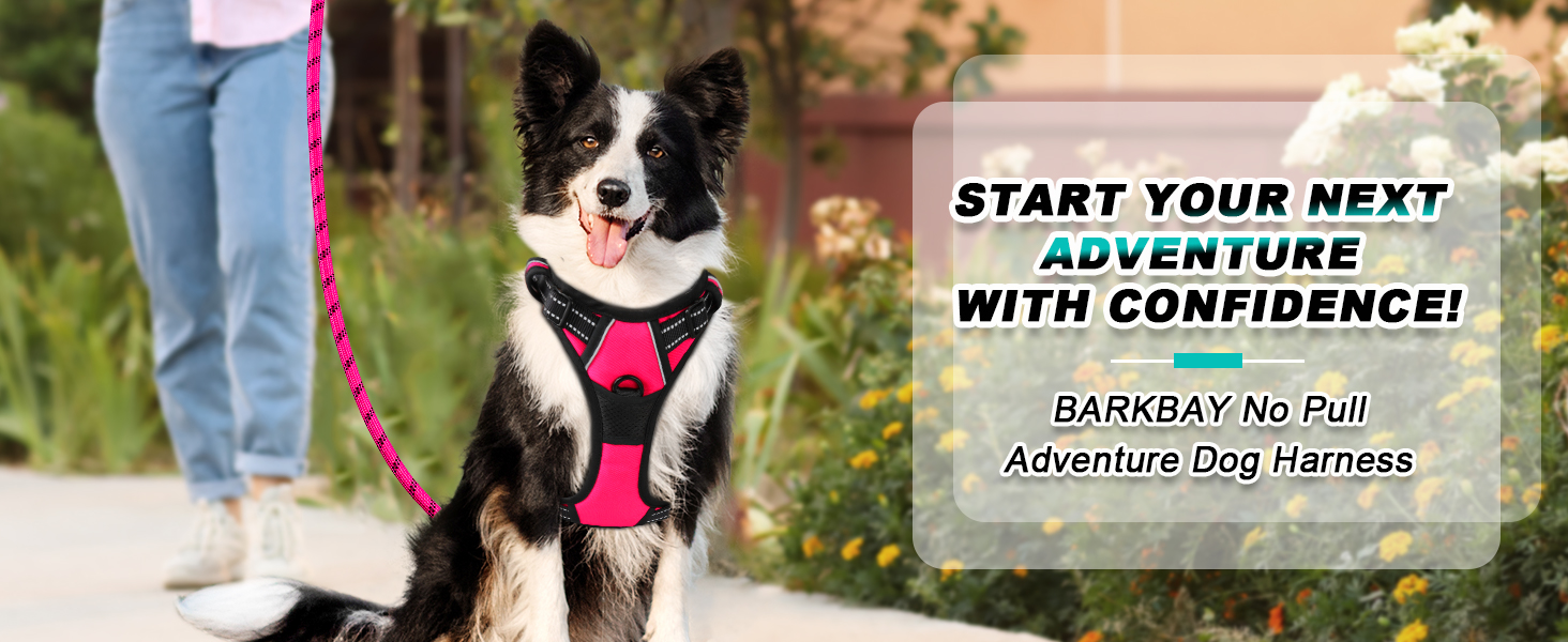 dog harness no pull gentle leader dog harness front clip no pull dog vest harnesses dog harnes