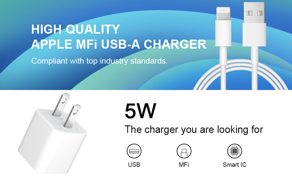 5w iphone charger