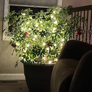 Small manufacture image 5