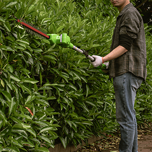 G40PSH Hedge Trimmers