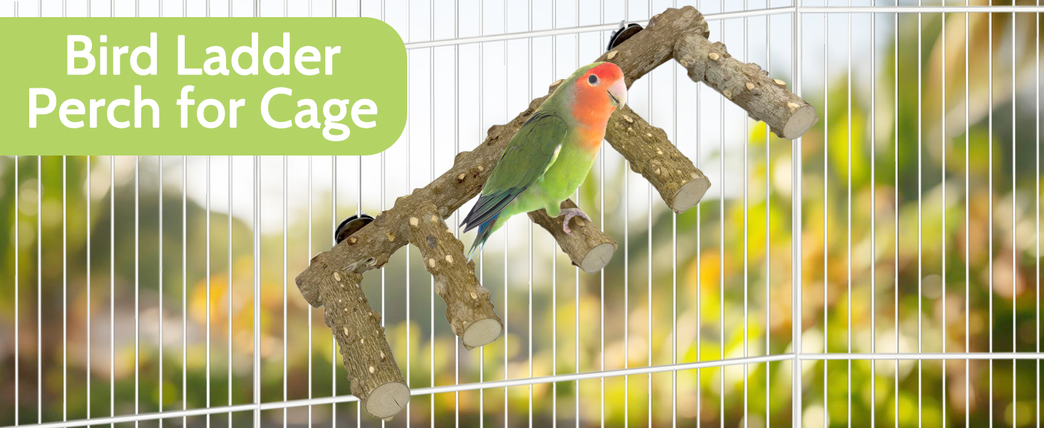 Natural bird habitat with varied perches supports rest, play, and instinctive behaviors