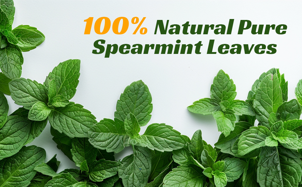 Spearmint Tea Bags