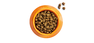IAMS Tierfutter 
