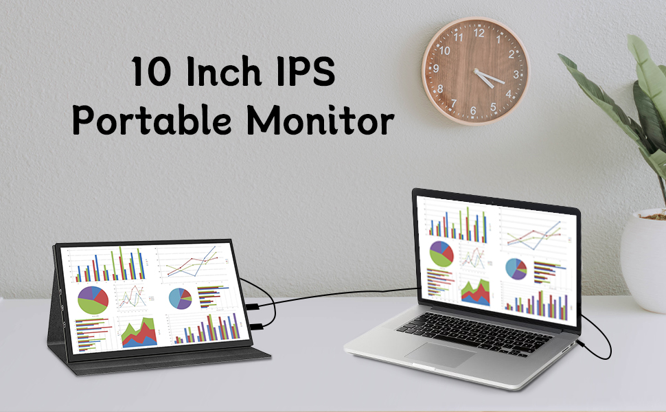 10 Inch Portable Monitor