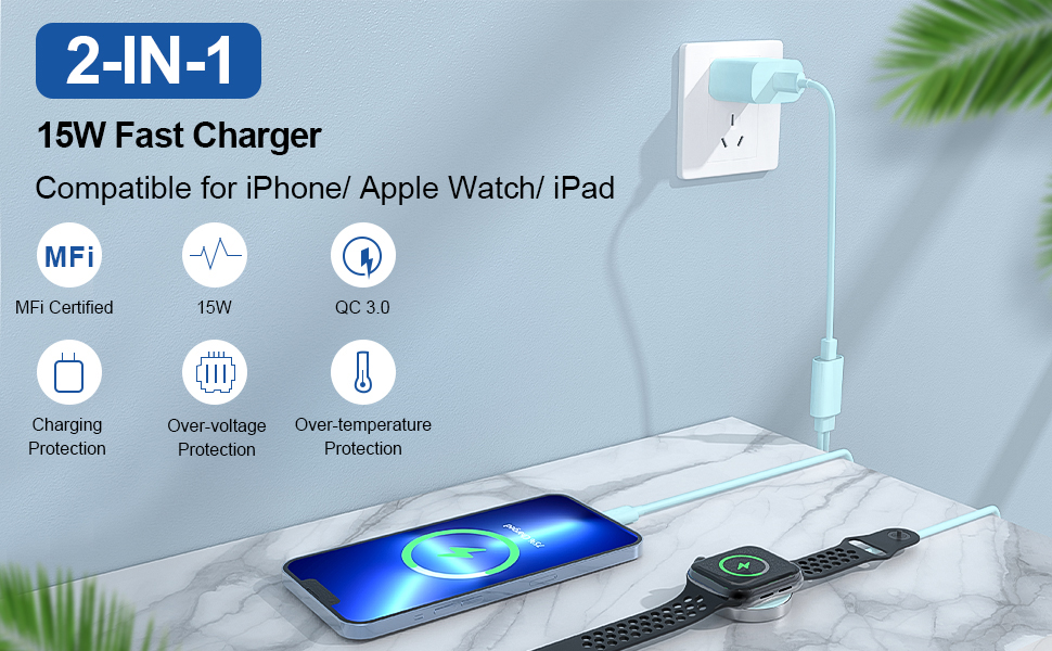 apple watch charger