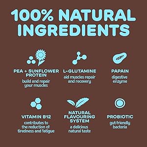 Misfits Cookies & Cream Vegan Protein Powder Natural Ingredients