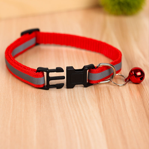 Dog Collars