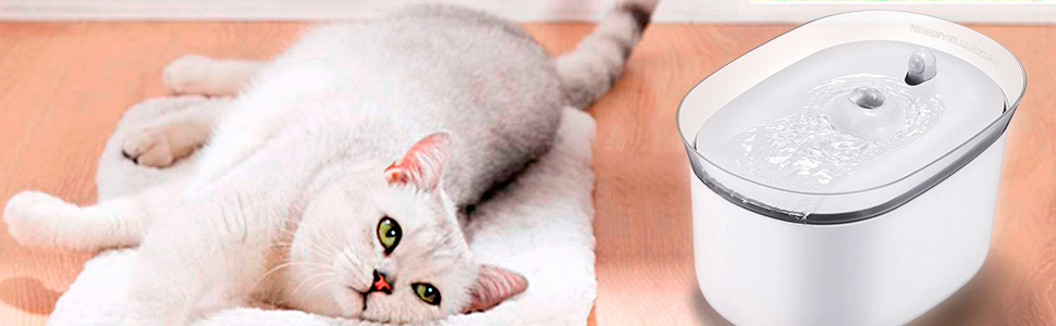 Happy cat with water fountain