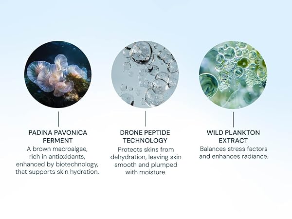 Amazon.com: ELEMIS Pro-Collagen Overnight Matrix 50ml, Anti