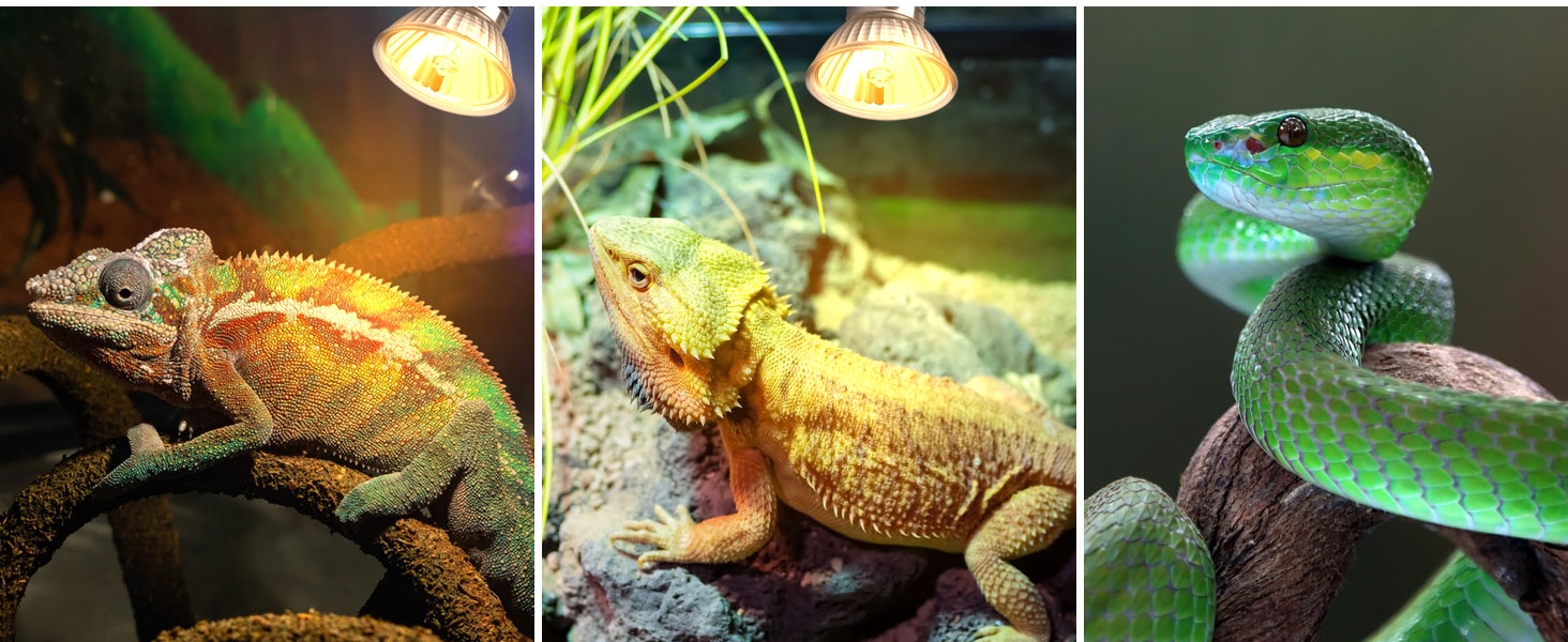 wärmelampe reptilien 50w