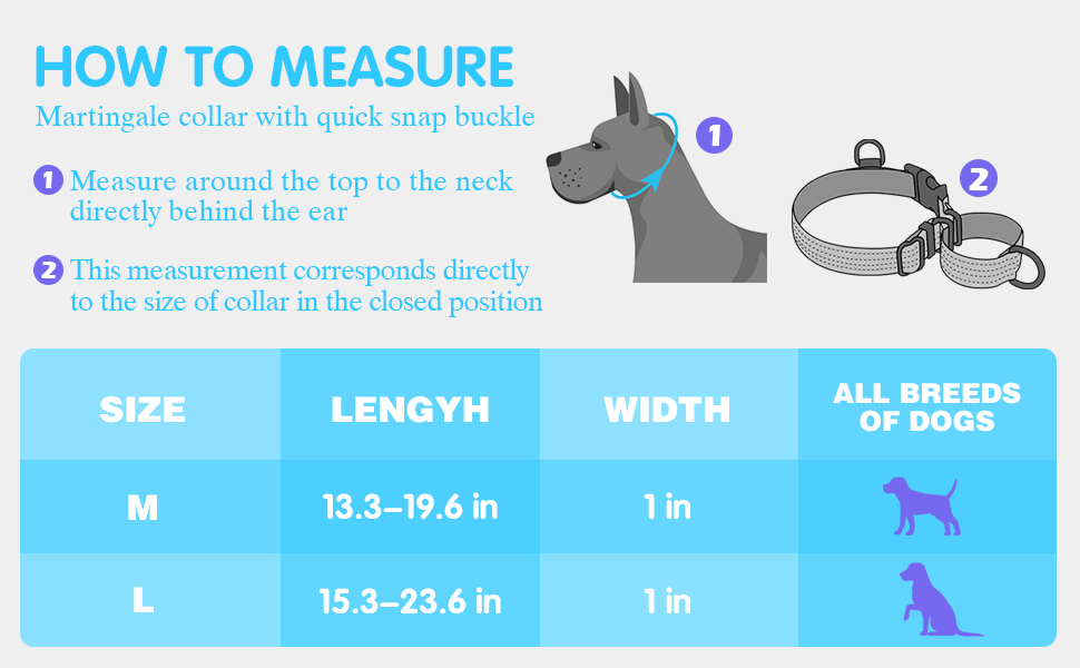 Bpawser Martingale Collar for Training Dogs 1 Count