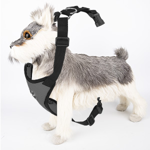 Eyein Auto Hundegeschirr mit 2 in 1 Hunde Sicherheitsgurt