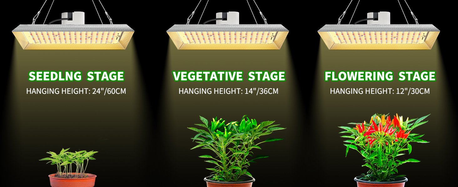 LED GROW LIGHT