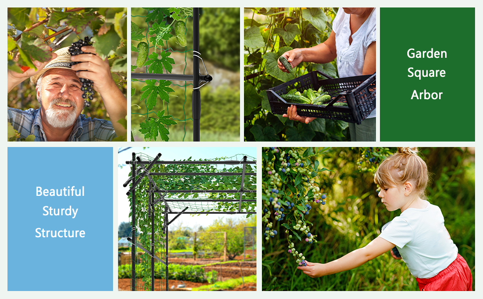 UrGROWA 79'' L x 79'' W x 79'' H Large Tall Grape Vine