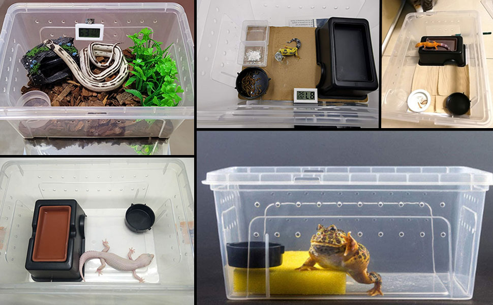Hamiledyi 2PCS Reptile Feeding Box Snake Breeding Box Transparent