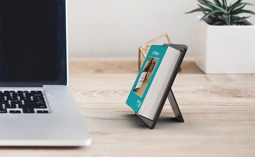 Cat Shaming 2023 DaytoDay Calendar Andrade, Pedro 9781524872731