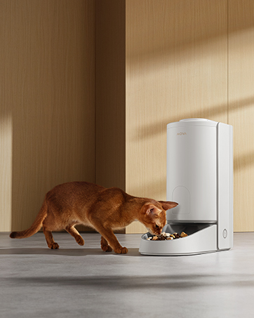 MOVA PF10 Pro自動給餌器 猫 中小型犬用 タイマー式 3.4L大容量 Amazon | 【2025新登場】MOVA PF10 Pro 自動給餌器 猫 中小型犬