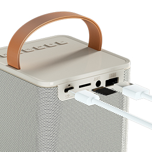 BONAOK Karaoke Machine With 2 Wireless Microphones For Adult Kids Singing Machine Portable Bluetooth Speaker With Pa System Red 6d632ca0 A278 417b Bf81 8c03984b2f13.4c4352c4d10042ce915a8d63423422de