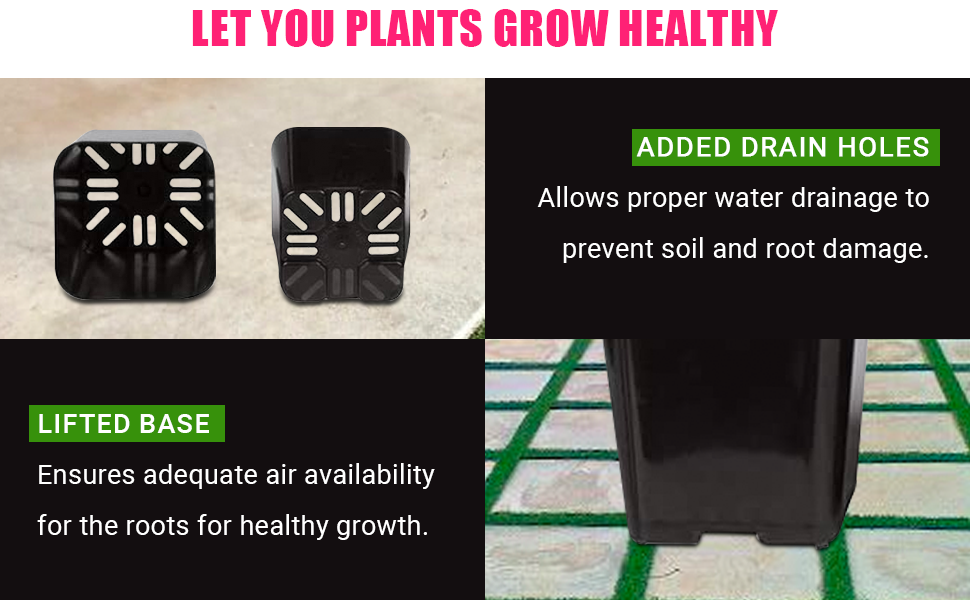 Let your plants grow healthy