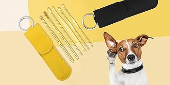 Innovative Spring Earwax Cleaner Tool Set