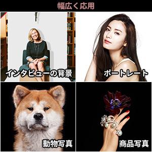 1.5ｍ×2ｍ 黒と白のリバーシブル 背景布 + 強力クリップ3点付き