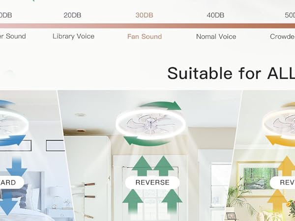 fandaliers ceiling fan