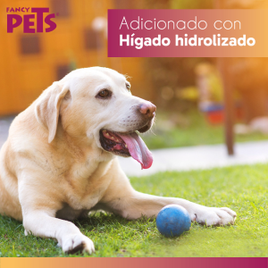 Colageno; Colageno Hidrolizado; Colageno Perro; colageno Gato; Pelo Brillante; Colgeno Hidrolizado