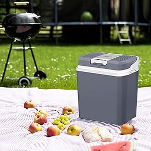 WOLTU Mini Frigo Bar Portatile Auto Ufficio Frigorifero Piccolo Caldo Freddo 12V 16 33336