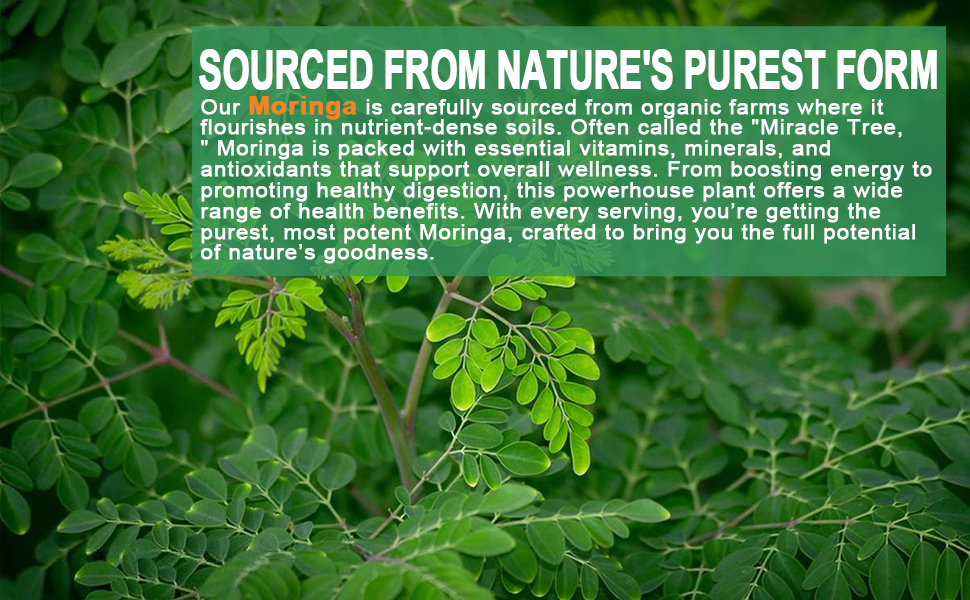moringa