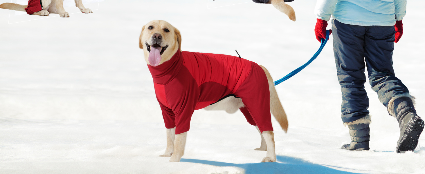 Dotoner Waterproof Dog Coat with Legs Fleece Windproof Winter Dog Jacket with Quilted Back & High Elasticity Chest Legs Warm Onesie Jumper with harness hole for Small Medium Large Canine 21 Multiple photos of dogs wearing red winter coats or jackets. Dogs shown standing and walking outdoors in cold weather gear.