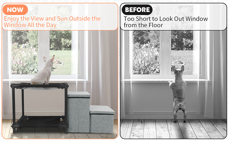 HOMBYS Multi-Level Pet Bunk Bed with Window View & Storage for Dogs and Cats
| HOMBYS Pet Stairs & Perch for Multipl 9010c167 5d21 4c35 8b2e B8eeffe7e486. CR0,0,970,600 PT0 SX970 V1