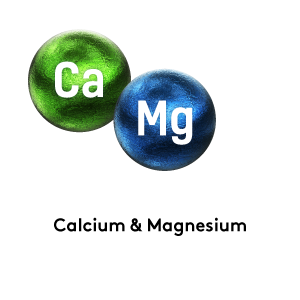 Calcium Magnesium electrolytes