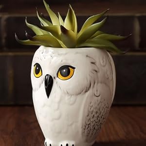 Owl Ceramic Coffee and Tea Mug