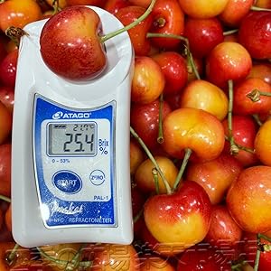 レイニアチェリー4kgクール便最後入荷‼️ レイニアチェリーの在庫情報:コストコで在庫番