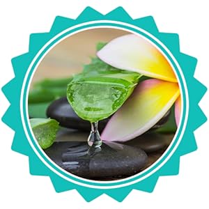 cat dog equine pet wound care dog paw cream dog paw cream