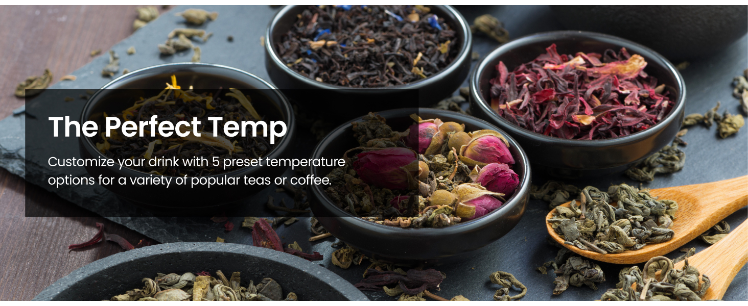 The perfect temp