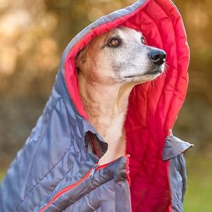 iEnergy JUL Sleeping Bag for dogs