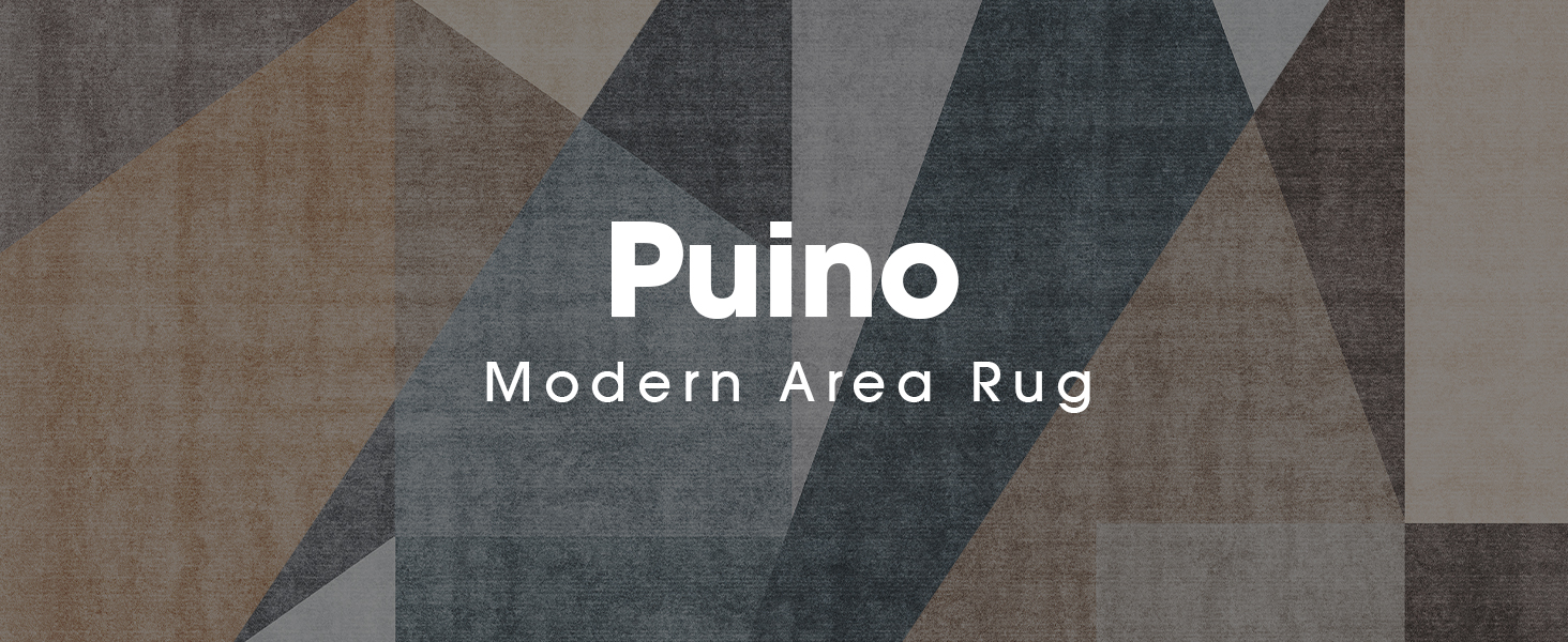 Puino modern area rug