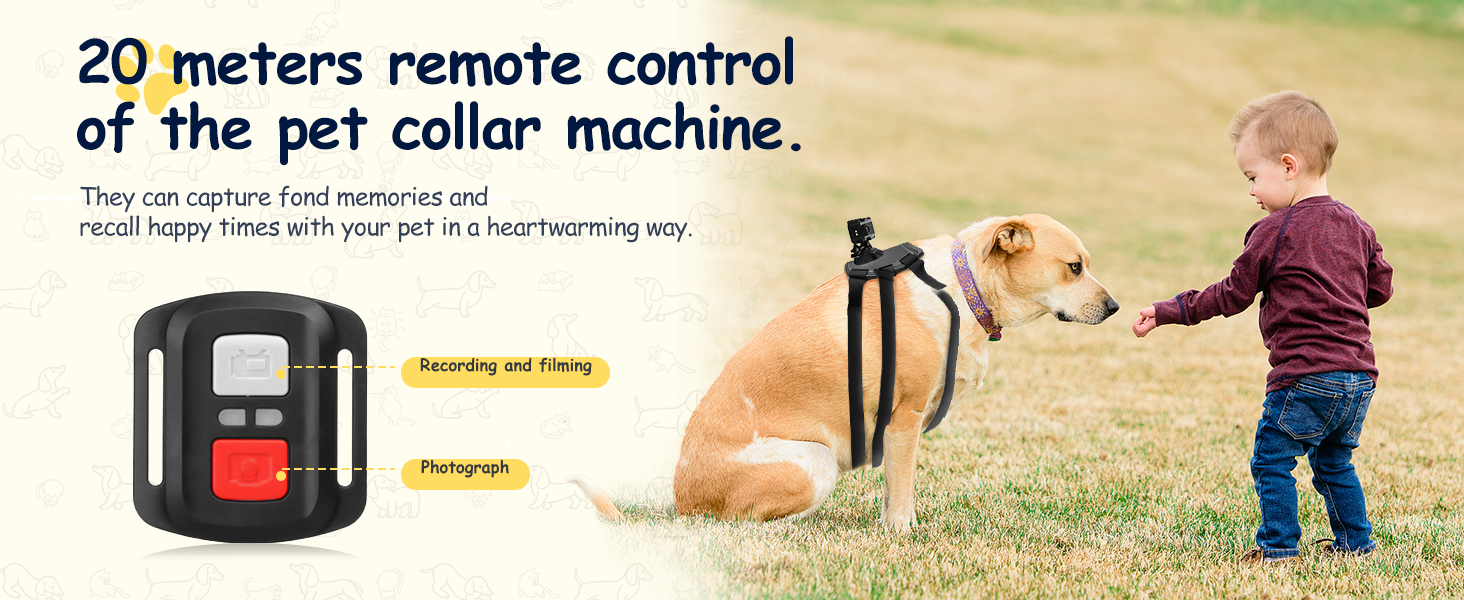 dog collar with camera